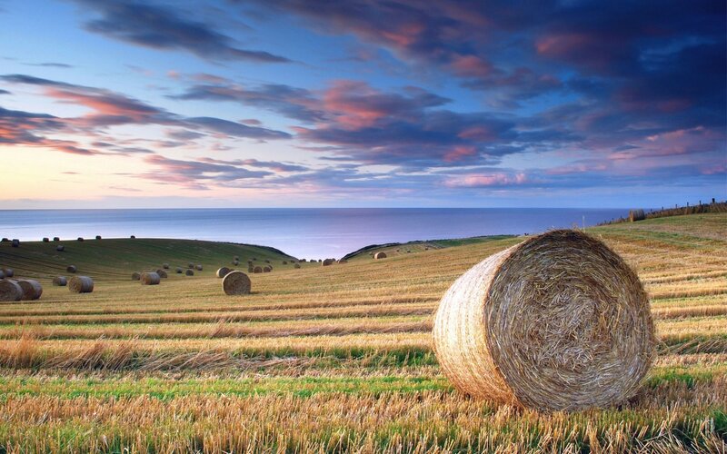 Hay Bales in Field — Blue, Serene, Sunset