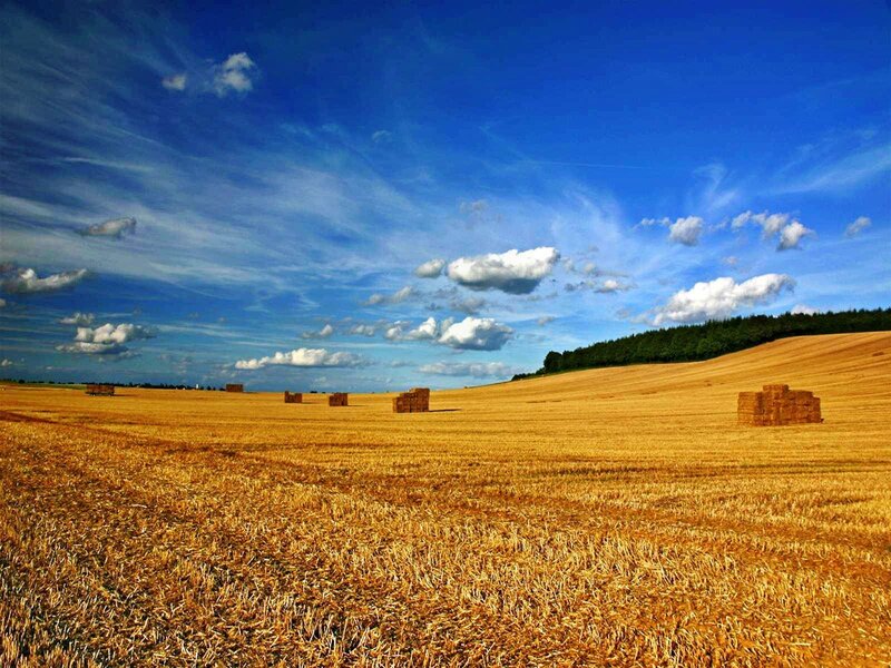 Hay Bales in Field — Blue, Serene