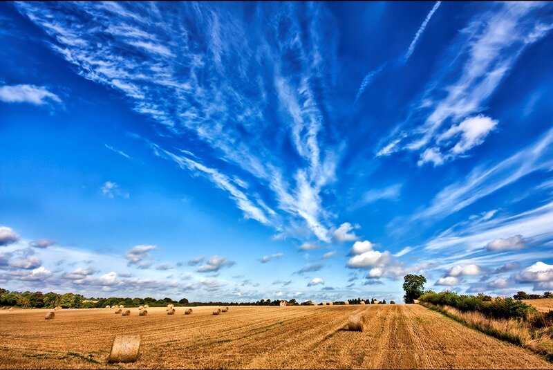 Hay Bales in Field — Blue