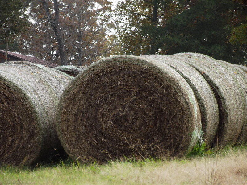 Hay Bales in Field — Brown, Calm