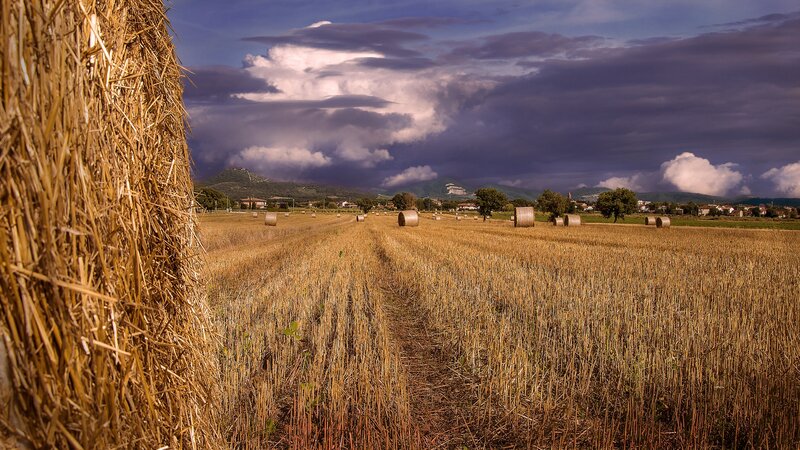 Hay Bales in Field — Brown, Dramatic, Afternoon, Photograph, Clouds, Mountains