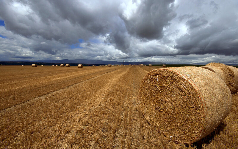 Hay Bales in Field — Brown, Dramatic, Afternoon, Photograph, Clouds