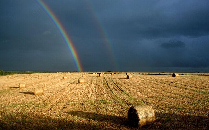 Hay Bales in Field — Brown, Dramatic, Afternoon, Photograph
