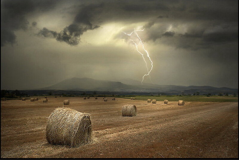 Hay Bales in Field — Brown, Dramatic, Afternoon