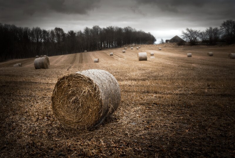 Hay Bales in Field — Brown, Dramatic, Autumn