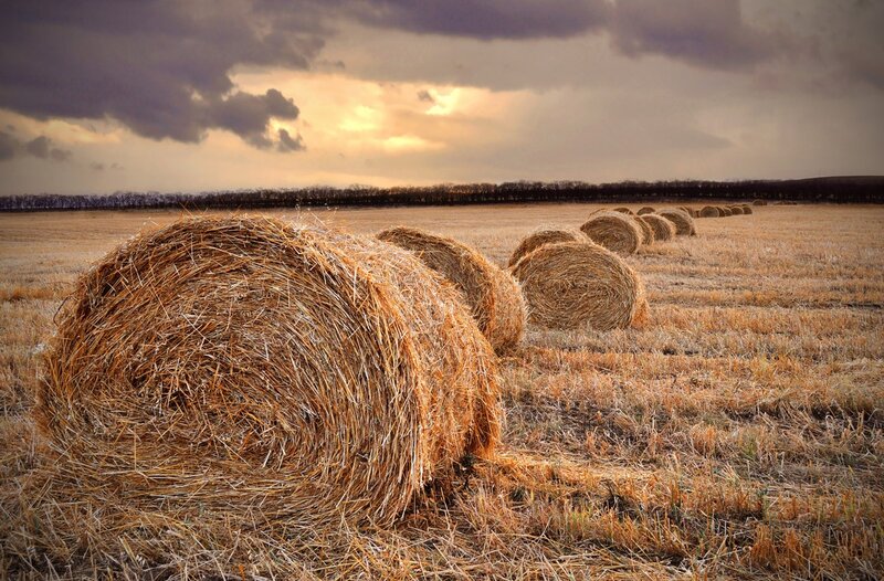 Hay Bales in Field — Brown, Dramatic, Sunset, Photograph, Sky, Clouds