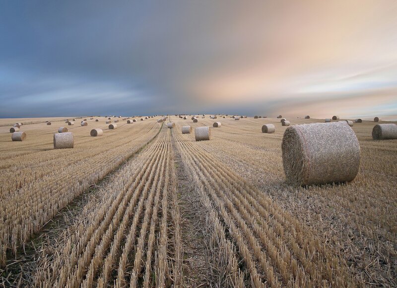 Hay Bales in Field — Brown, Dramatic, Sunset, Photograph, Sky