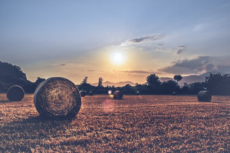 Hay Bales in Field — Brown, Serene, Sunset, Photograph, Sun, Mountains