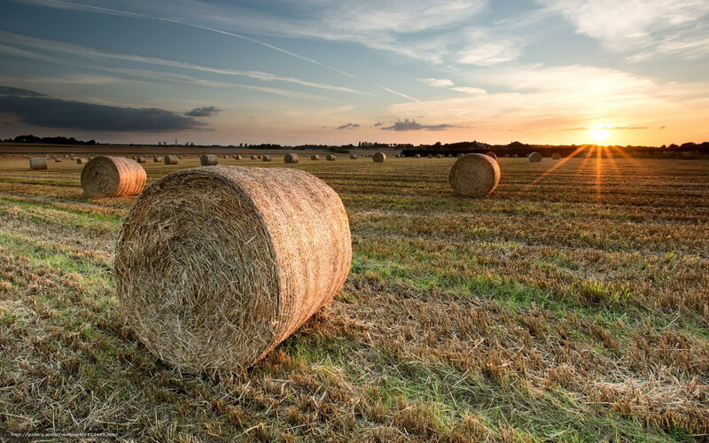 Hay Bales in Field — Brown, Serene, Sunset, Photograph, Sun
