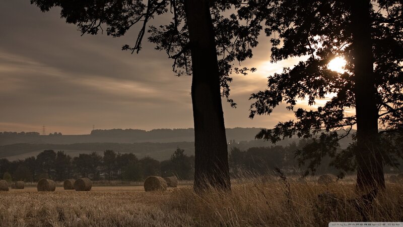 Hay Bales in Field — Brown, Serene, Sunset