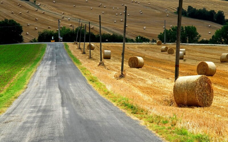 Hay Bales in Field — Brown, Serene