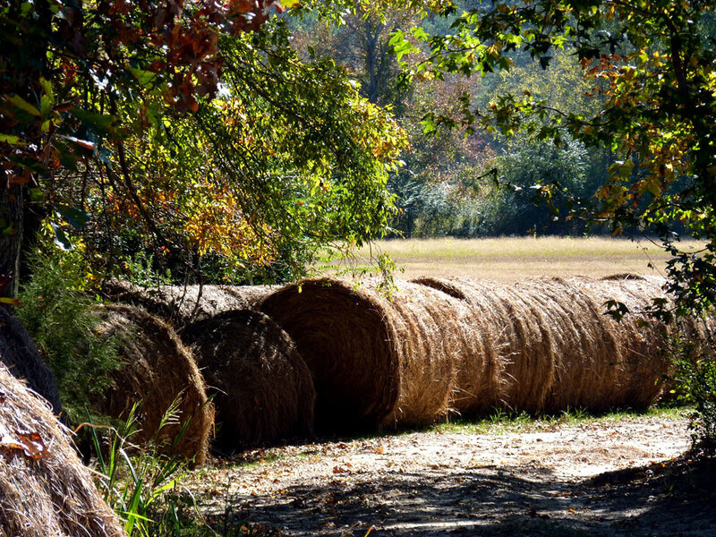 Hay Bales in Field — Brown