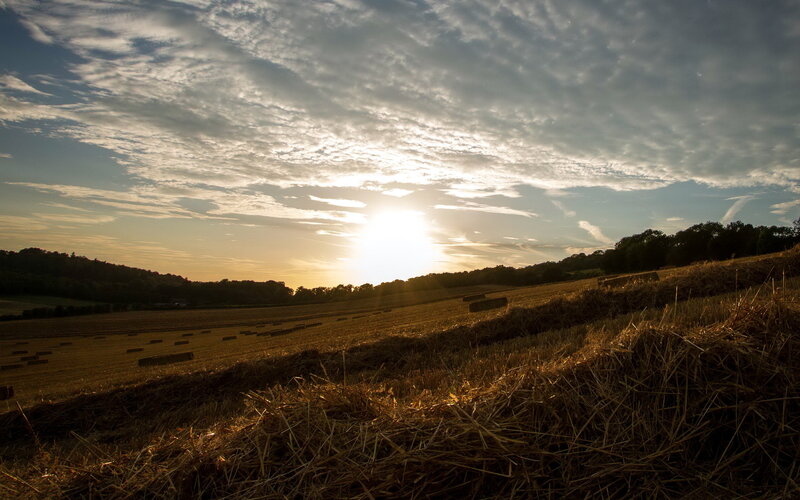 Hay Bales in Field — Gold, Serene, Sunset, Photograph