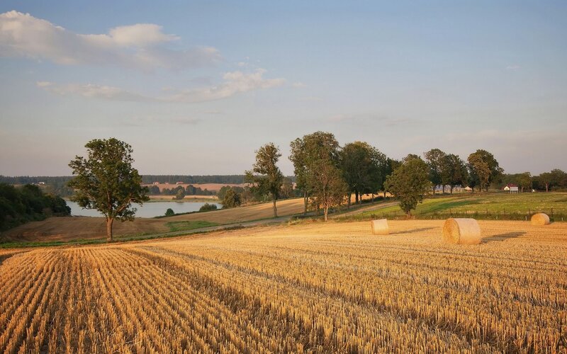 Hay Bales in Field — Gold, Serene, Sunset