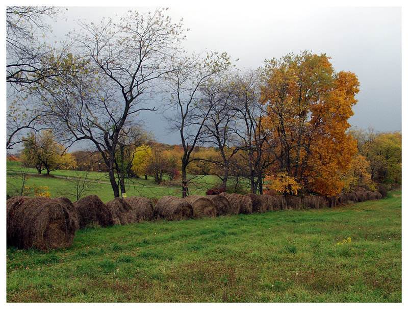 Hay Bales in Field — Green, Calm, Autumn