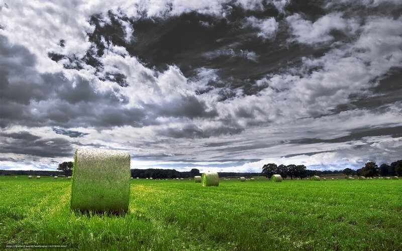 Hay Bales in Field — Green, Dramatic, Afternoon, Photograph, Clouds, Trees