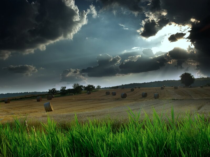 Hay Bales in Field — Green, Dramatic, Afternoon