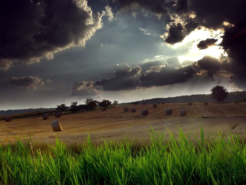 Hay Bales in Field — Green, Dramatic, Sunset, Photograph, Clouds, Trees