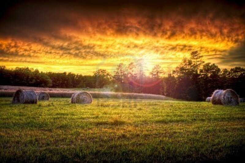 Hay Bales in Field — Green, Dramatic, Sunset, Photograph