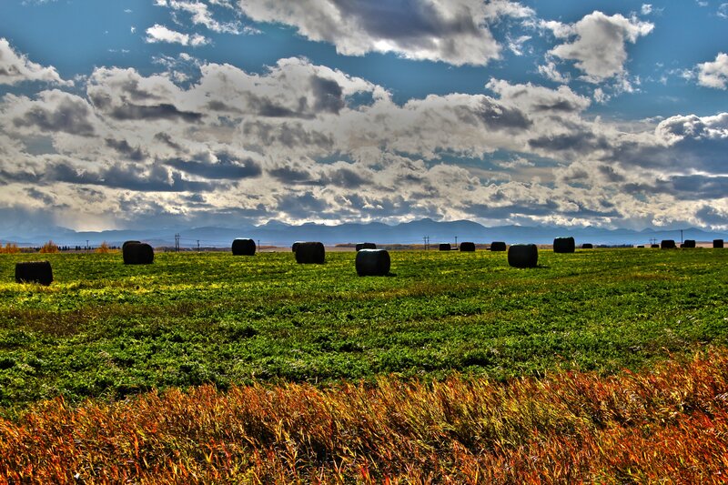 Hay Bales in Field — Green, Dramatic