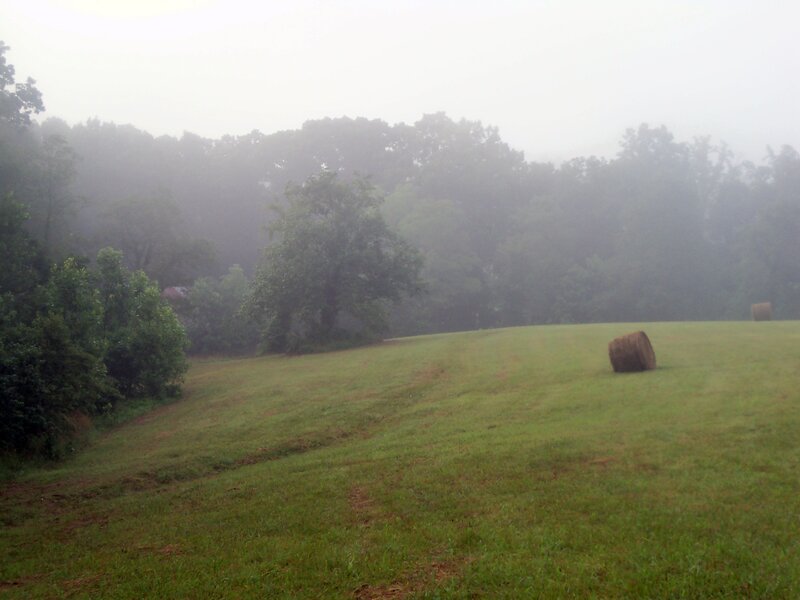 Hay Bales in Field — Green, Misty