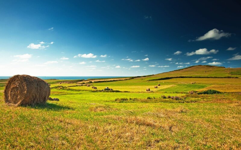 Hay Bales in Field — Green, Serene, Afternoon, Photograph, Ocean