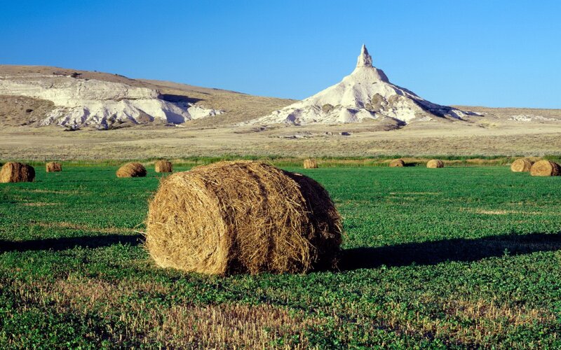 Hay Bales in Field — Green, Serene, Afternoon, Photograph, Rock Formation