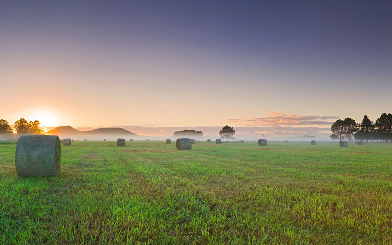 Hay Bales in Field — Green, Serene, Sunrise, Photograph