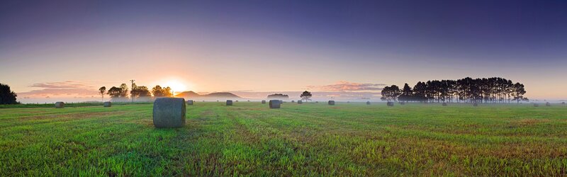 Hay Bales in Field — Green, Serene, Sunrise, Photograph, Trees