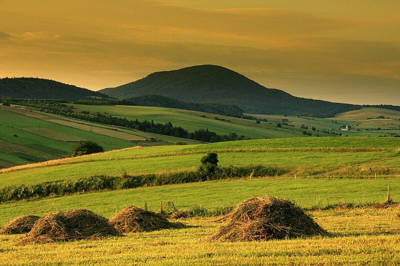 Hay Bales in Field — Green, Serene, Sunset