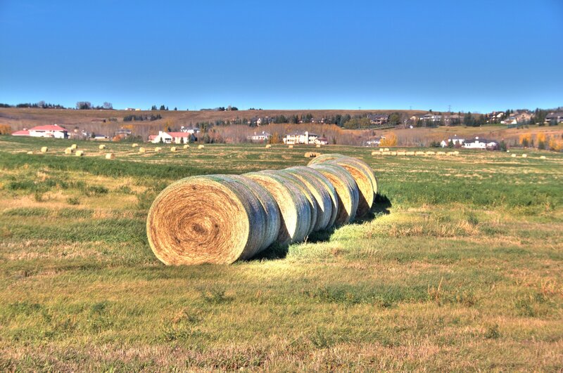 Hay Bales in Field — Green, Serene