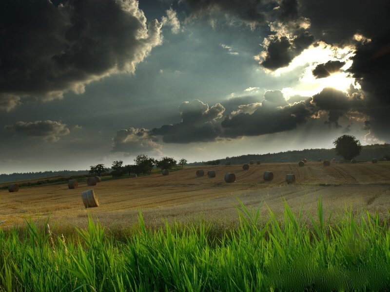 Hay Bales in Field — Green, Sunset