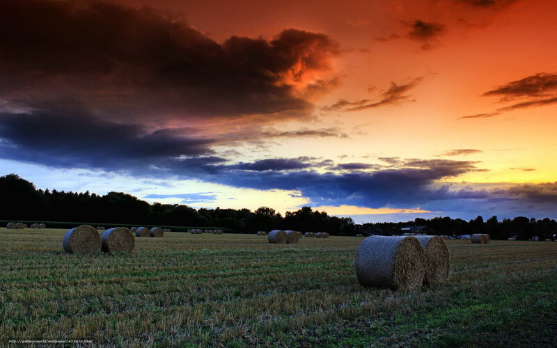 Hay Bales in Field — Orange, Dramatic, Sunset, Photograph, Sky, Trees