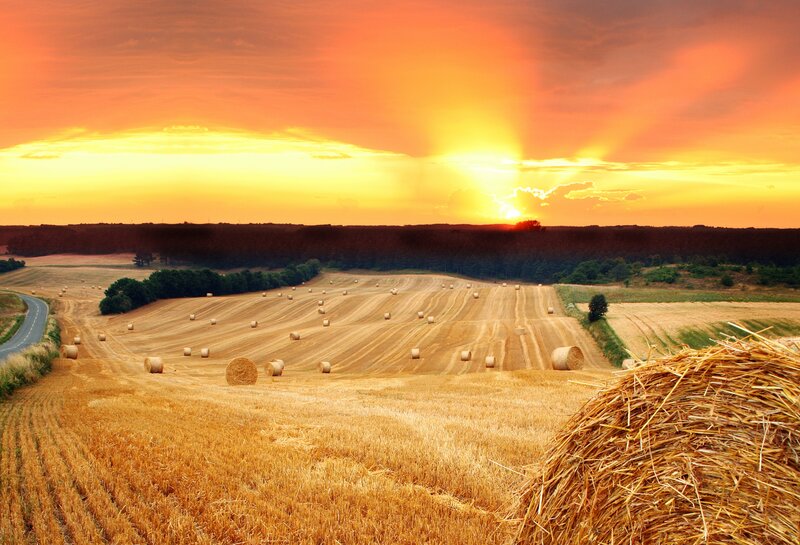 Hay Bales in Field — Orange, Dramatic, Sunset, Photograph