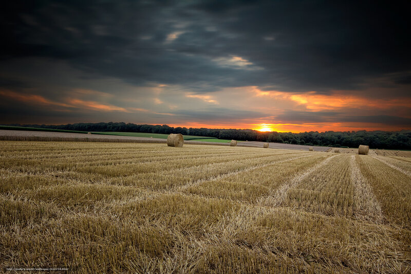 Hay Bales in Field — Orange, Dramatic, Sunset, Photograph, Trees