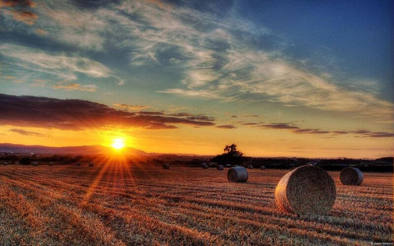 Hay Bales in Field — Orange, Serene, Sunset, Photograph, Sun