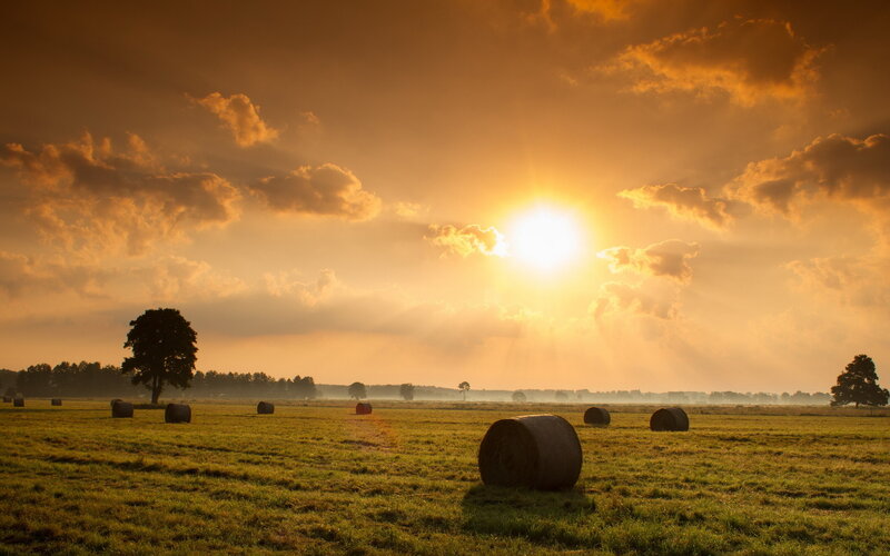 Hay Bales in Field — Orange, Serene, Sunset