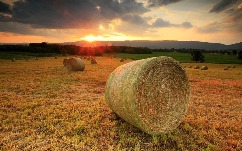 Hay Bales in Field — Orange, Serene
