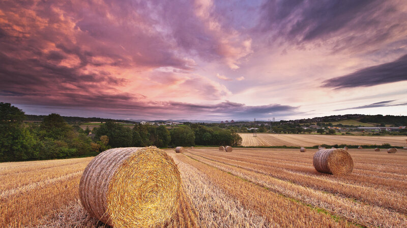 Hay Bales in Field — Purple, Dramatic, Sunset