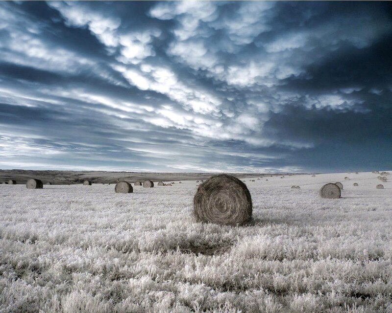 Hay Bales in Field — White