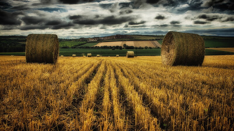 Hay Bales in Field — Yellow, Dramatic, Afternoon, Photograph, Clouds