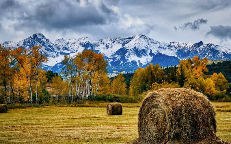 Hay Bales in Field — Yellow, Dramatic, Autumn