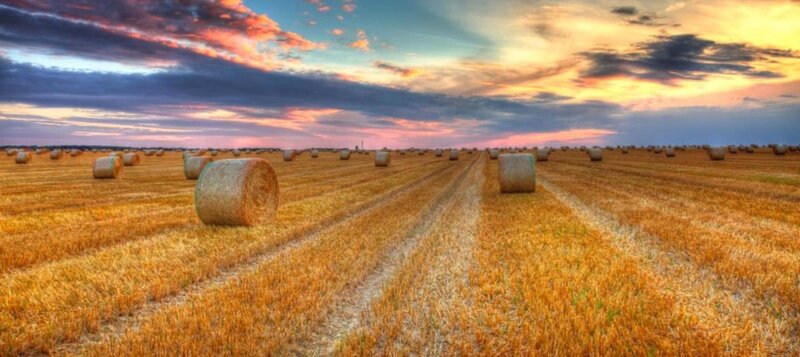Hay Bales in Field — Yellow, Dramatic, Sunset, Photograph, Sky