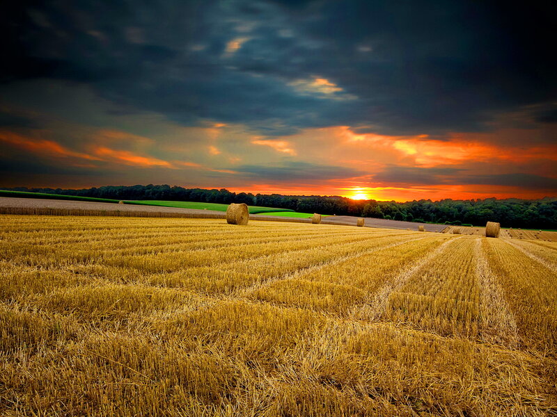 Hay Bales in Field — Yellow, Dramatic, Sunset, Photograph