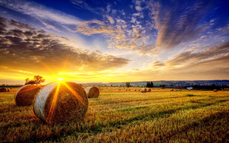 Hay Bales in Field — Yellow, Dramatic, Sunset