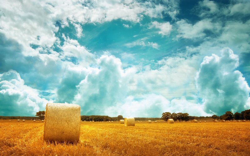 Hay Bales in Field — Yellow, Serene, Afternoon, Photograph, Clouds