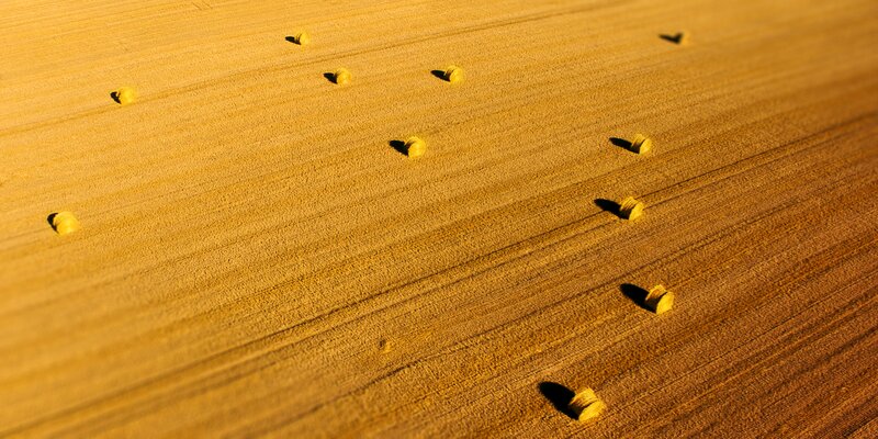Hay Bales in Field — Yellow, Serene, Afternoon, Photograph, Sunlight