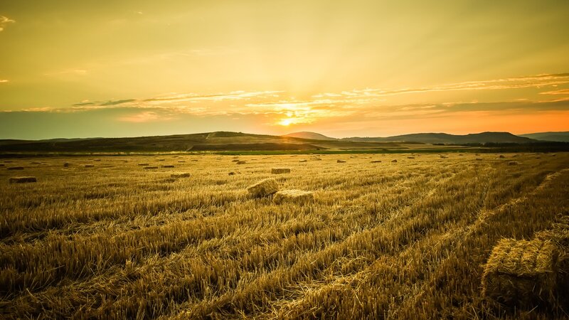 Hay Bales in Field — Yellow, Serene, Sunset, Photograph, Hills
