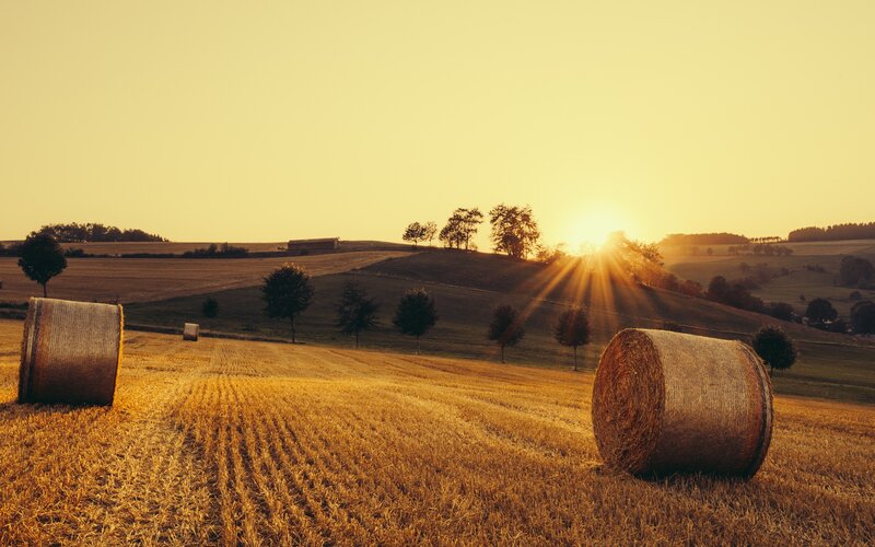 Hay Bales in Field — Yellow, Serene, Sunset, Photograph, Sun