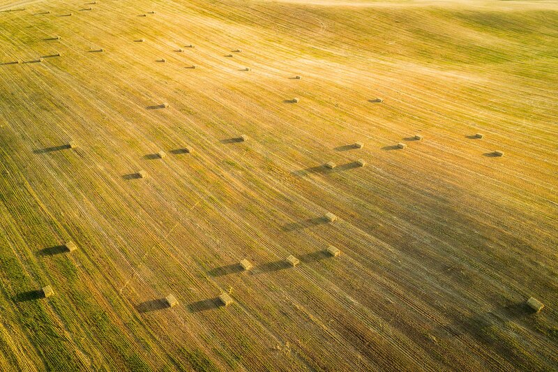 Hay Bales in Field — Yellow, Serene, Sunset, Photograph, Sunlight
